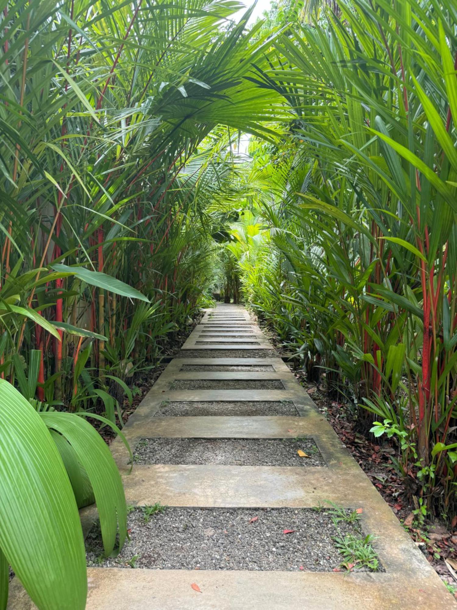 Ginganga Lodge Galle Kültér fotó