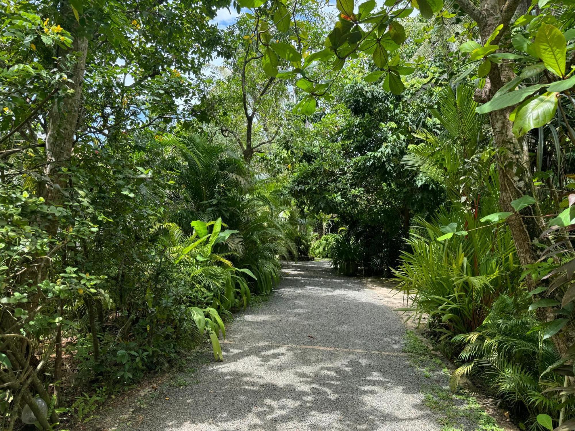 Ginganga Lodge Galle Kültér fotó