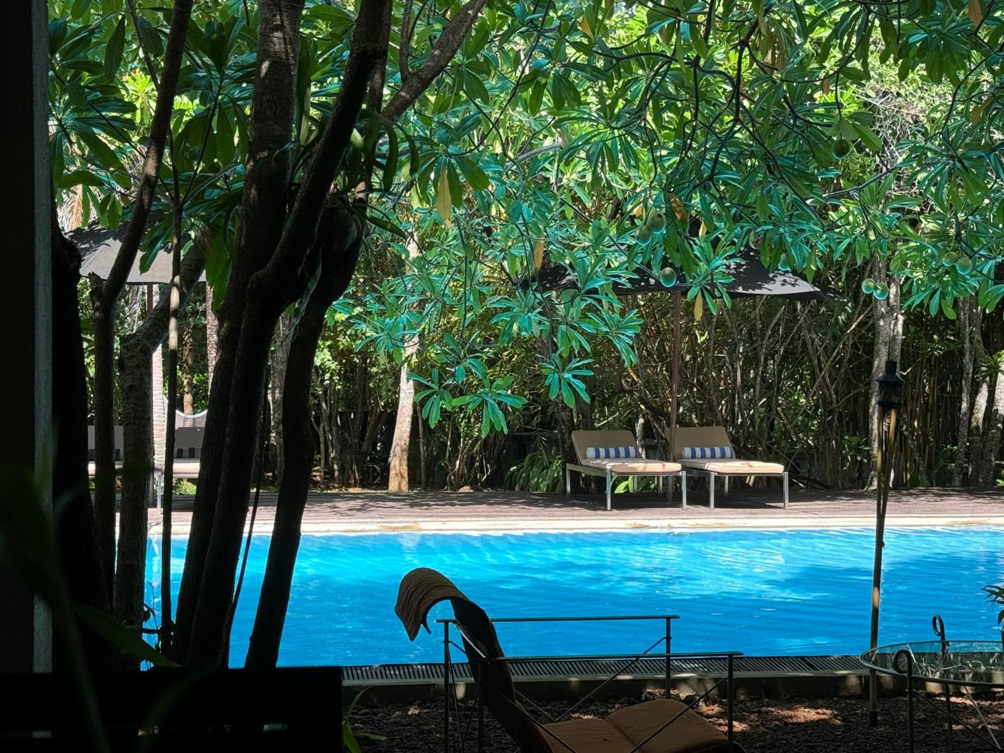 Ginganga Lodge Galle Kültér fotó
