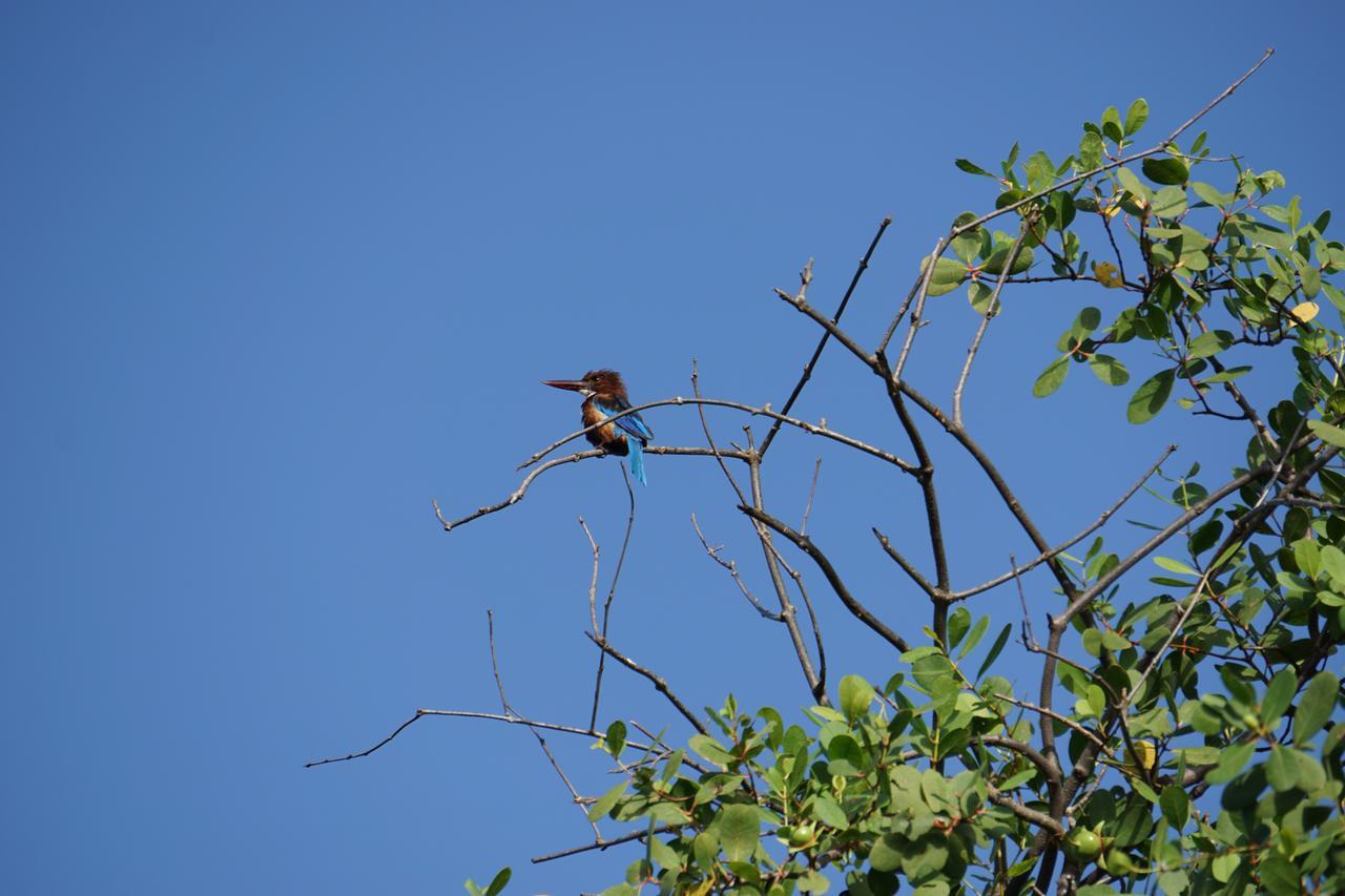Ginganga Lodge Galle Kültér fotó